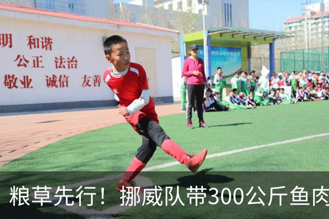 粮草先行！挪威队带300公斤鱼肉+116公斤奶酪赴美踢世界杯